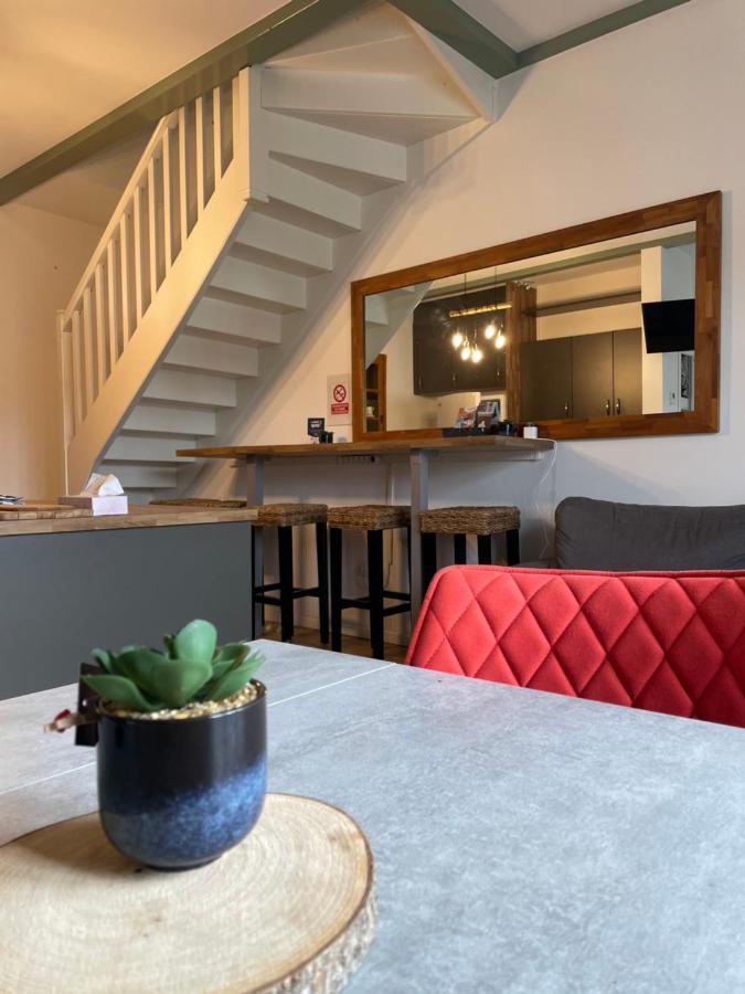Les Petits Loups - Acces Parc - Stationnement Gratuit Apartment Bagnères-de-Bigorre Екстериор снимка